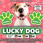 guide dog lottery